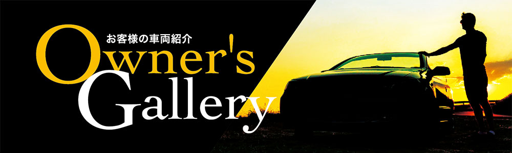 Owner's Gallery'